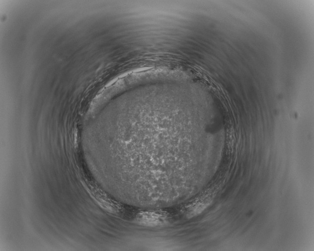 X0000085260703200703231715