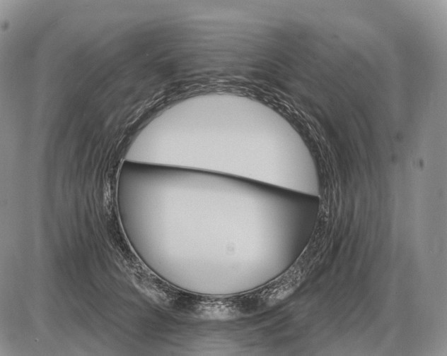 X0000085260704200703231715