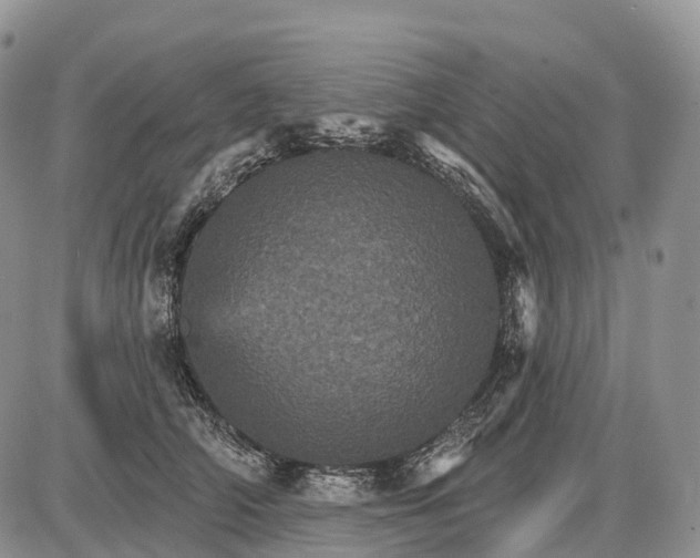 X0000085260706200703231715