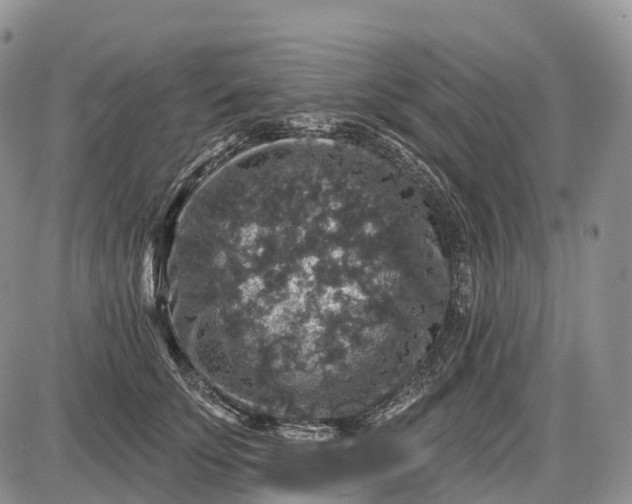 X0000085260707200703231715