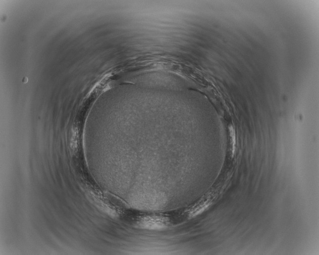 X0000085260708200703231715