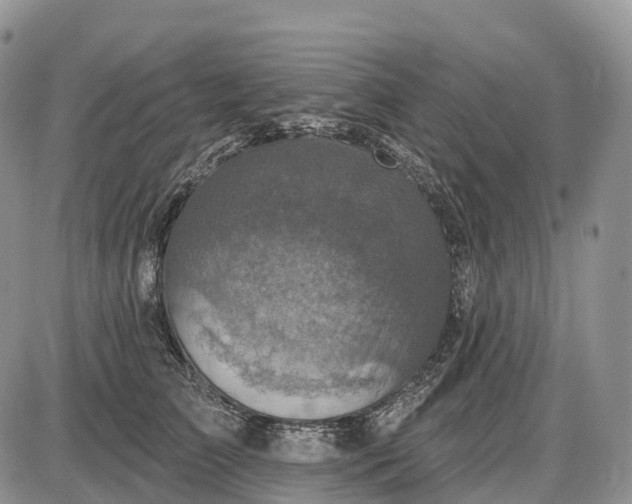 X0000085260709200703231715