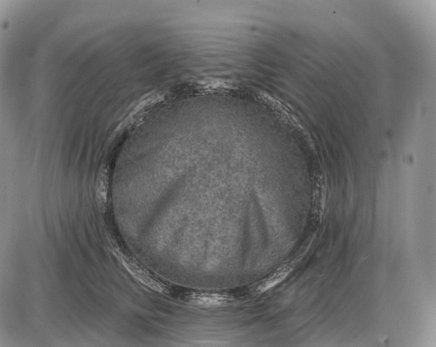 X0000085260710200703231715