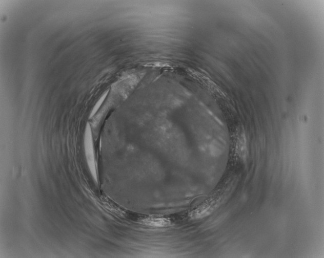 X0000085260711200703231715