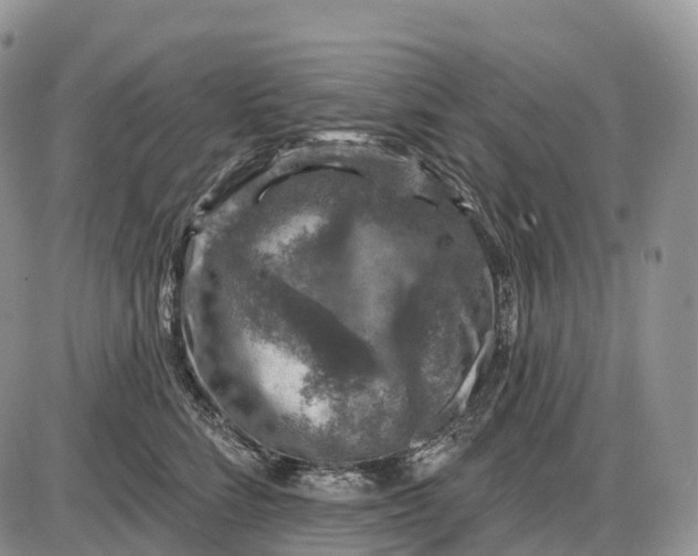 X0000085260712200703231715