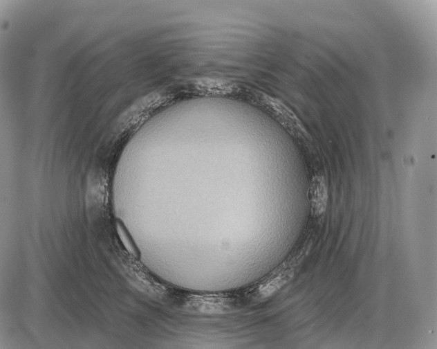 X0000085260713200703231715