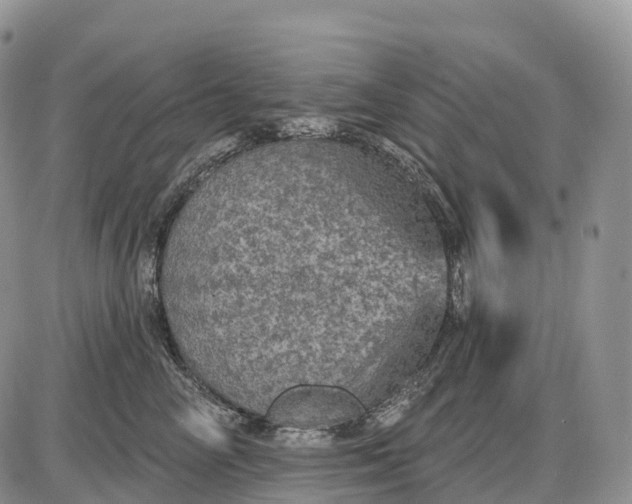 X0000085260714200703231715