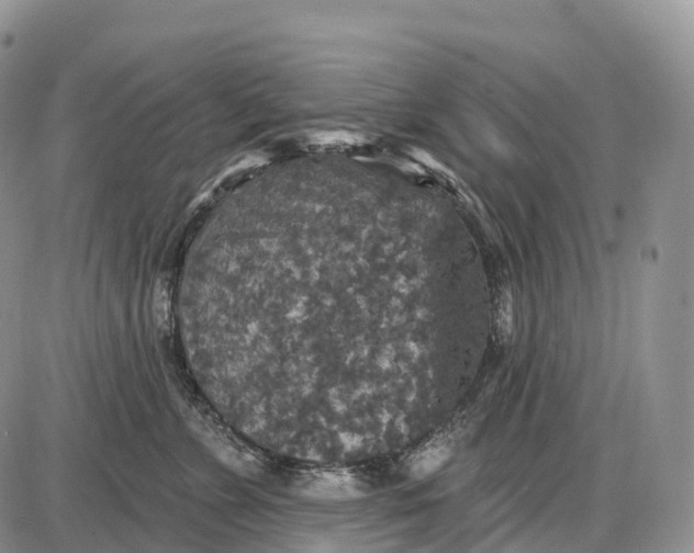 X0000085260715200703231715