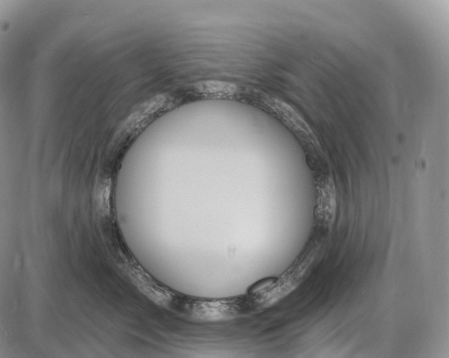 X0000085260717200703231715