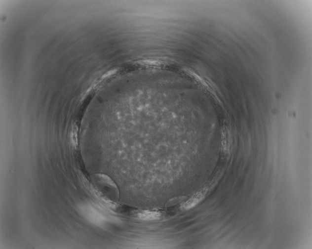 X0000085260718200703231715