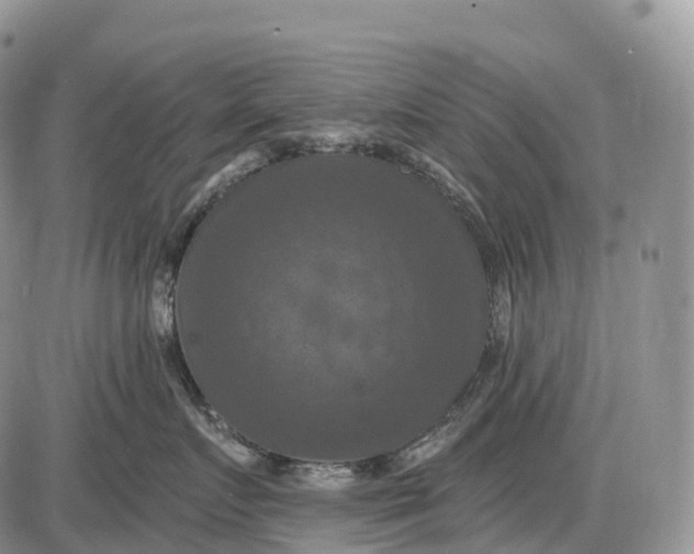 X0000085260719200703231715