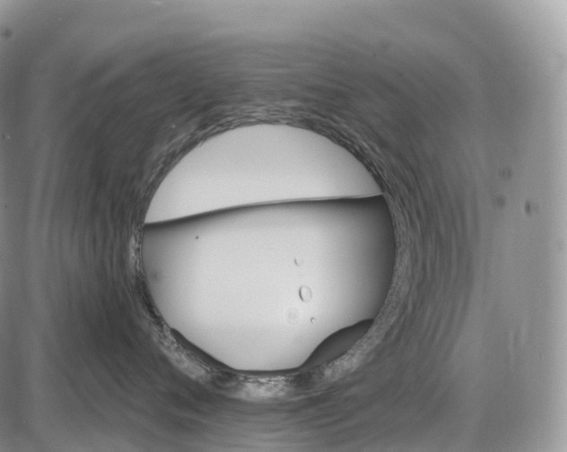 X0000085260720200703231715