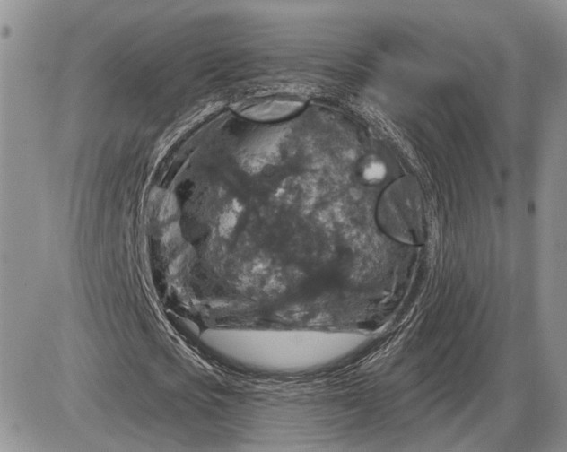 X0000085260721200703231714