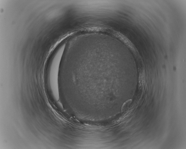 X0000085260722200703231714