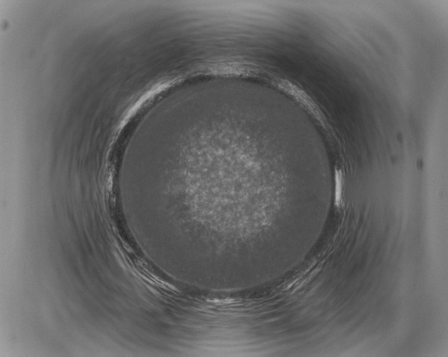 X0000085260723200703231714