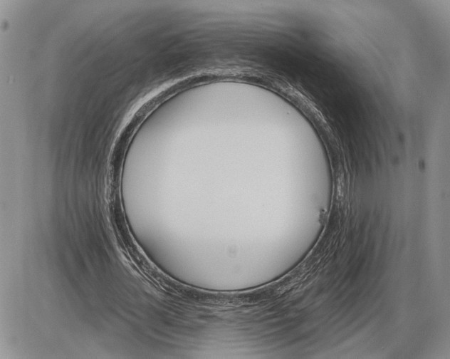 X0000085260724200703231714