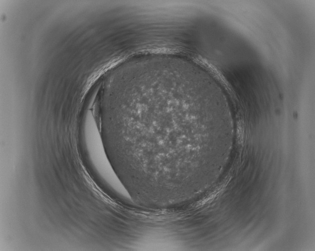 X0000085260725200703231714