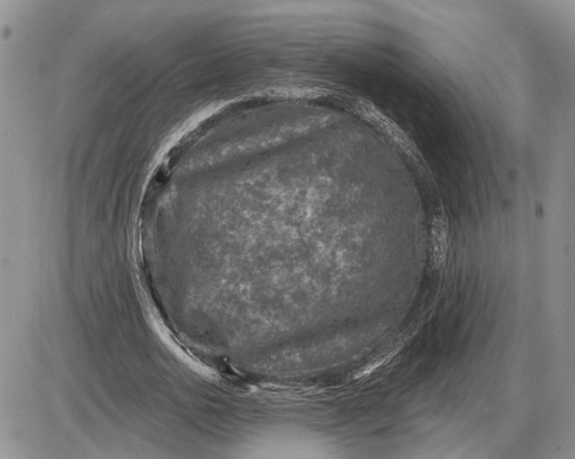 X0000085260726200703231714