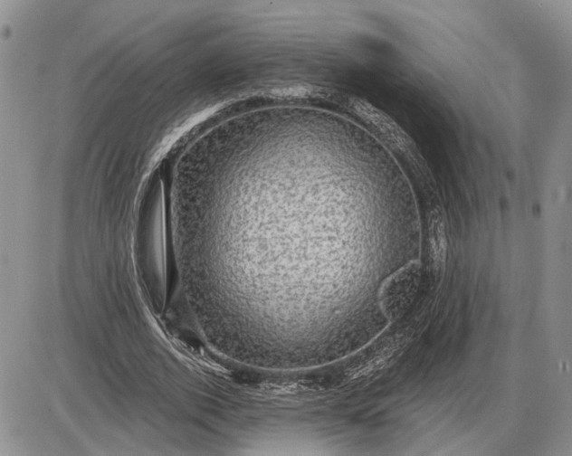 X0000085260728200703231714