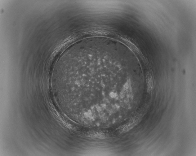 X0000085260729200703231714