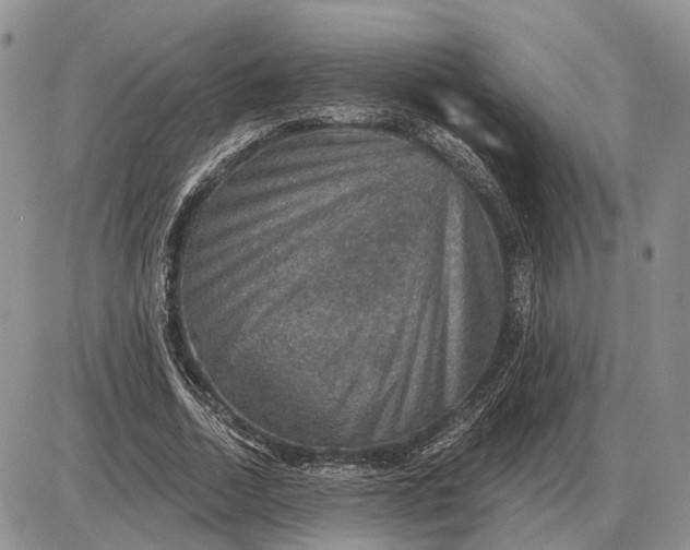 X0000085260730200703231714