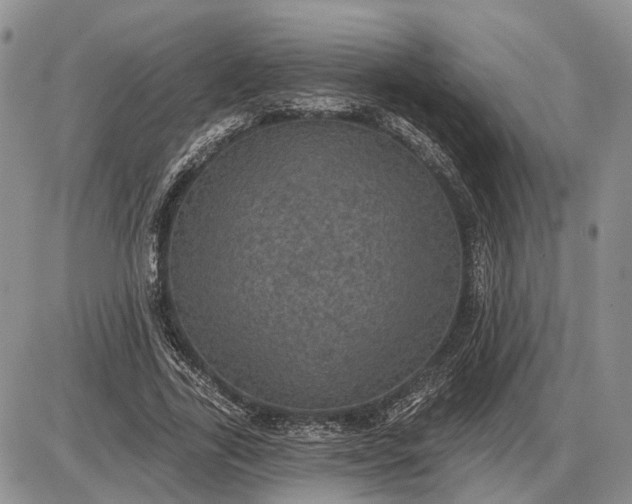 X0000085260731200703231714