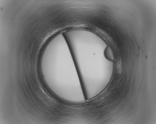 X0000085260732200703231714