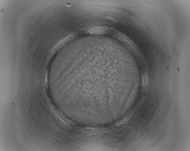 X0000085260733200703231715