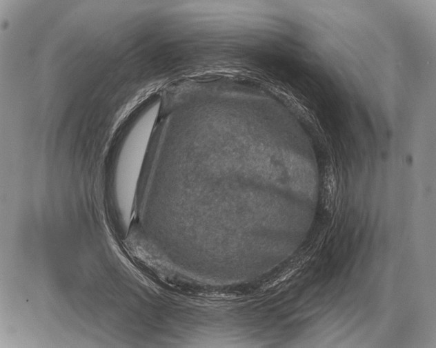 X0000085260734200703231715