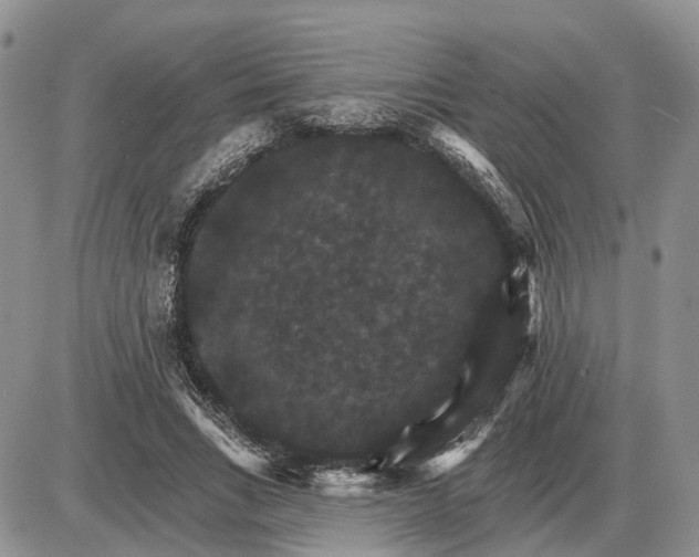 X0000085260735200703231715