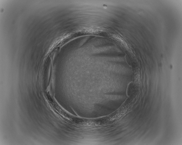 X0000085260736200703231715