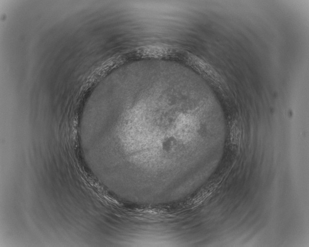 X0000085260737200703231715