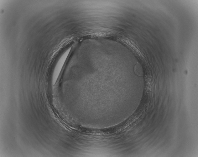 X0000085260738200703231715