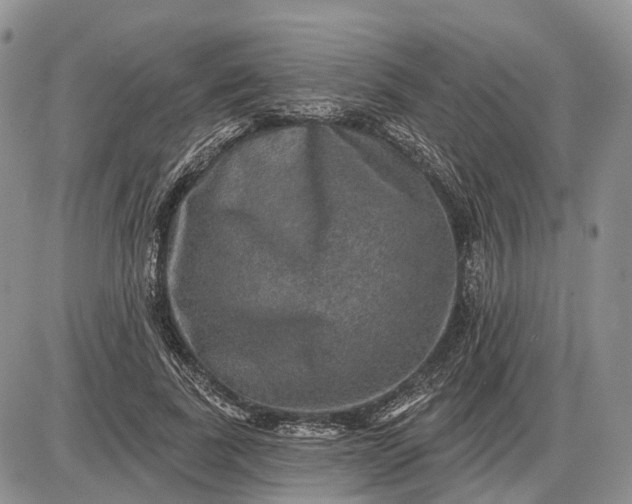 X0000085260739200703231715