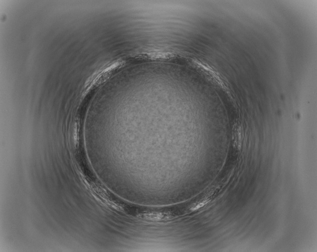 X0000085260740200703231715