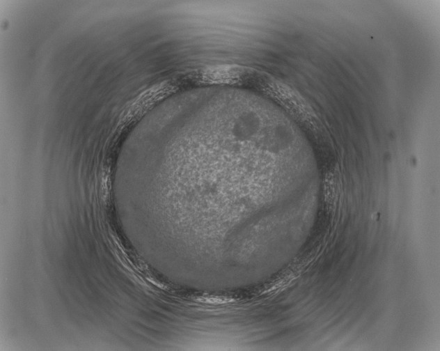 X0000085260741200703231715