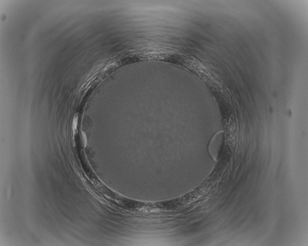 X0000085260742200703231715