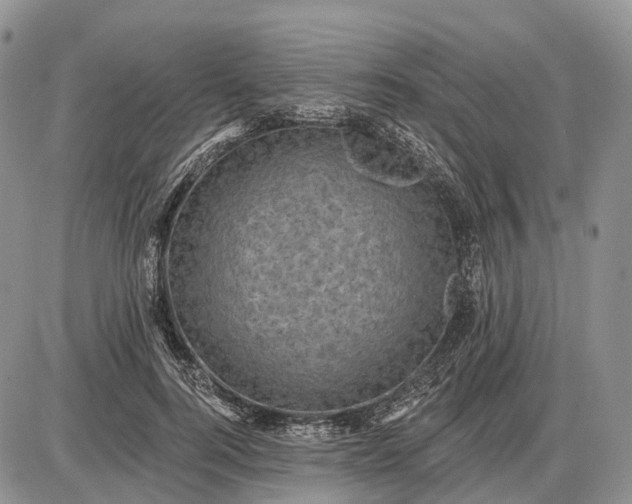 X0000085260744200703231715