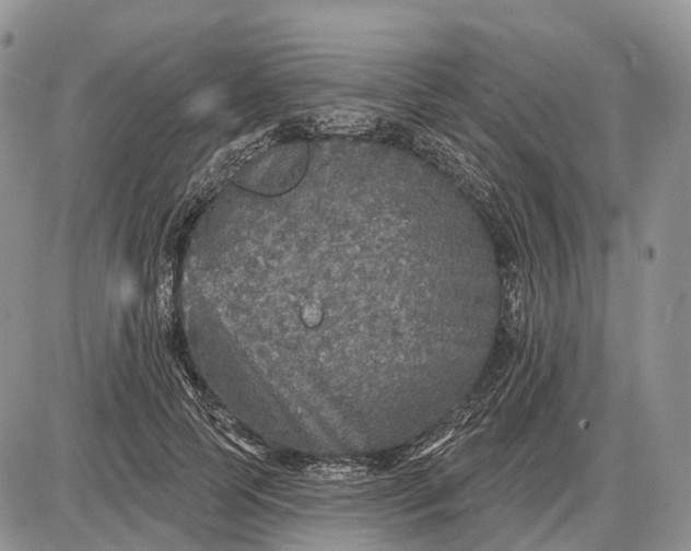 X0000085260745200703231715