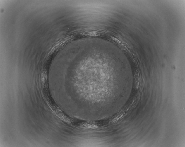 X0000085260747200703231715