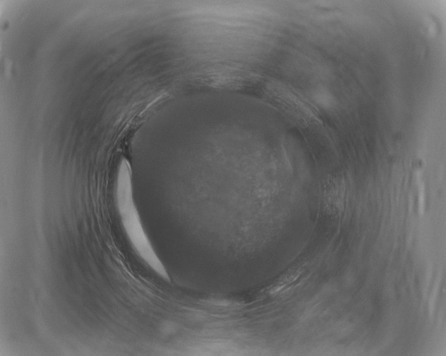 X0000085260748200703231715