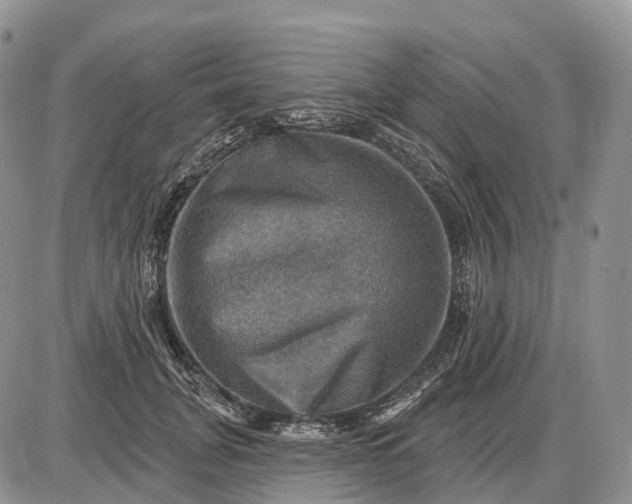 X0000085260751200703231715