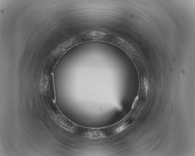 X0000085260752200703231715