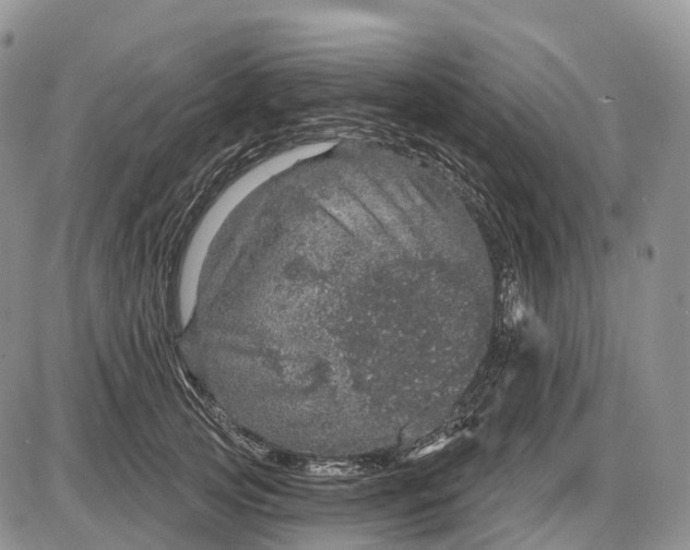 X0000085260753200703231715