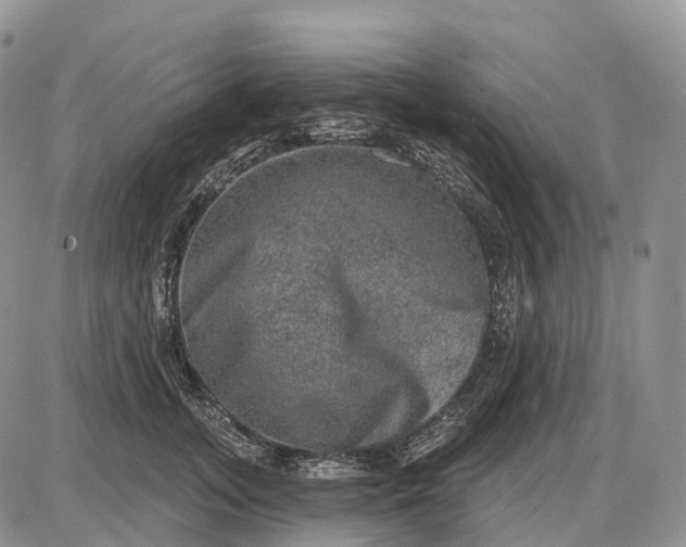 X0000085260755200703231715