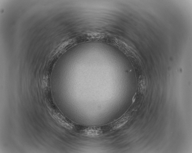 X0000085260756200703231715