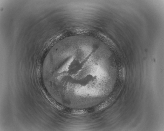 X0000085260757200703231715