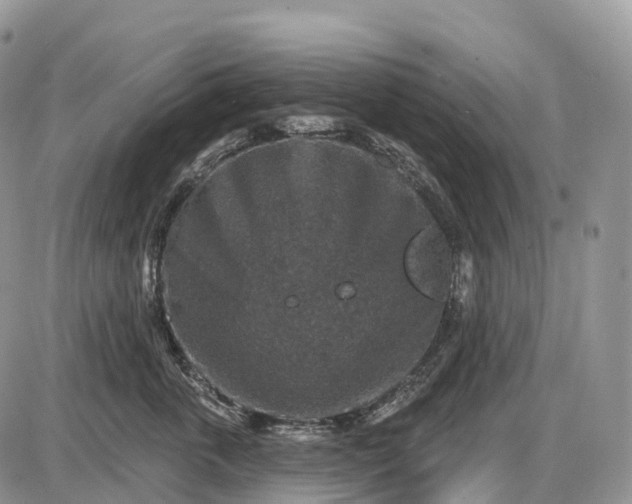 X0000085260763200703231715