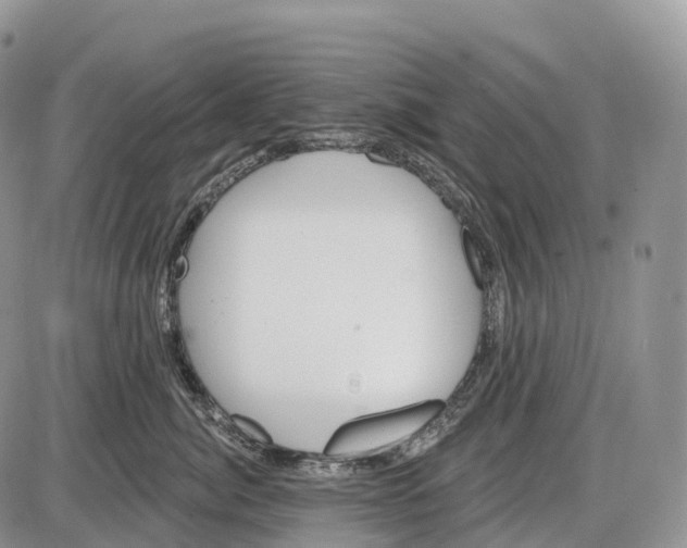 X0000085260764200703231715