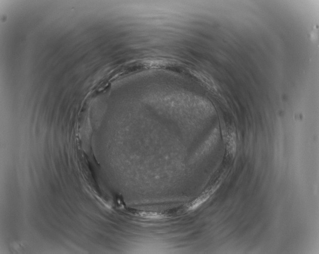 X0000085260766200703231715